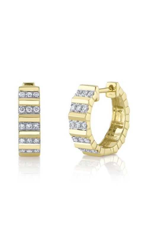 Shy Creations  Earring SC22008740RD