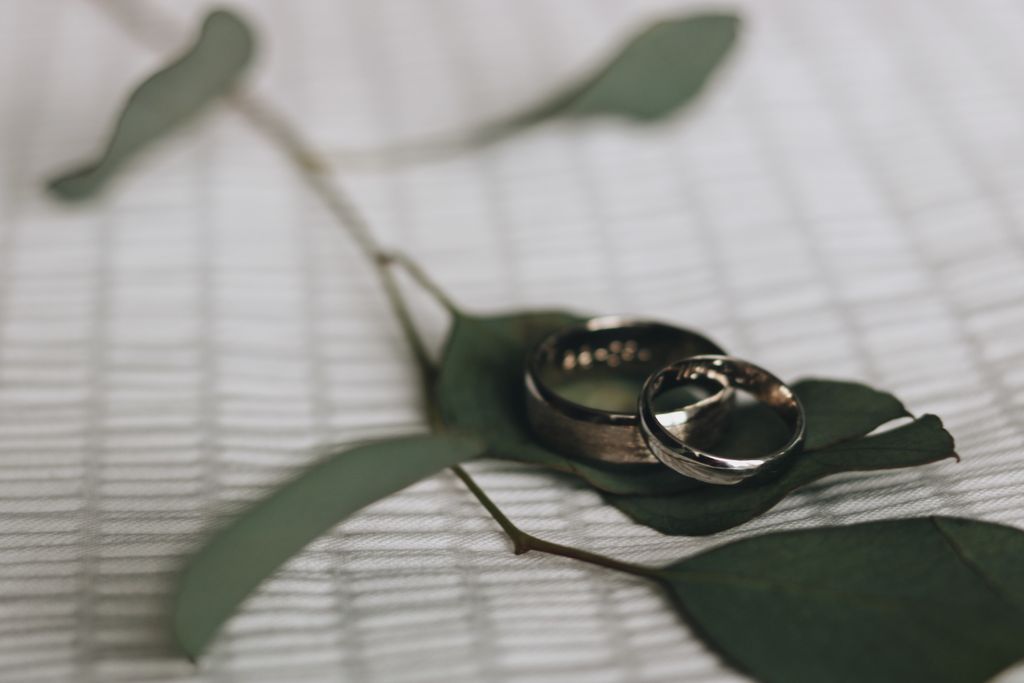 A close-up of two silver-toned wedding bands sitting on a sprig of leaves on a white surface. A close-up of two silver-toned wedding bands sitting on a sprig of leaves on a white surface.